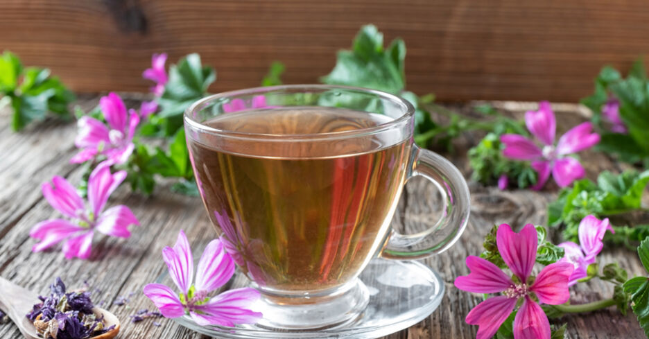 Eine Tasse Käsepappel-Tee steht auf einem Tisch. Daneben liegen die Blüten der Pflanze Käsepappel.