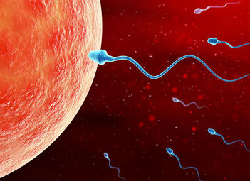 Abbildung von Spermien