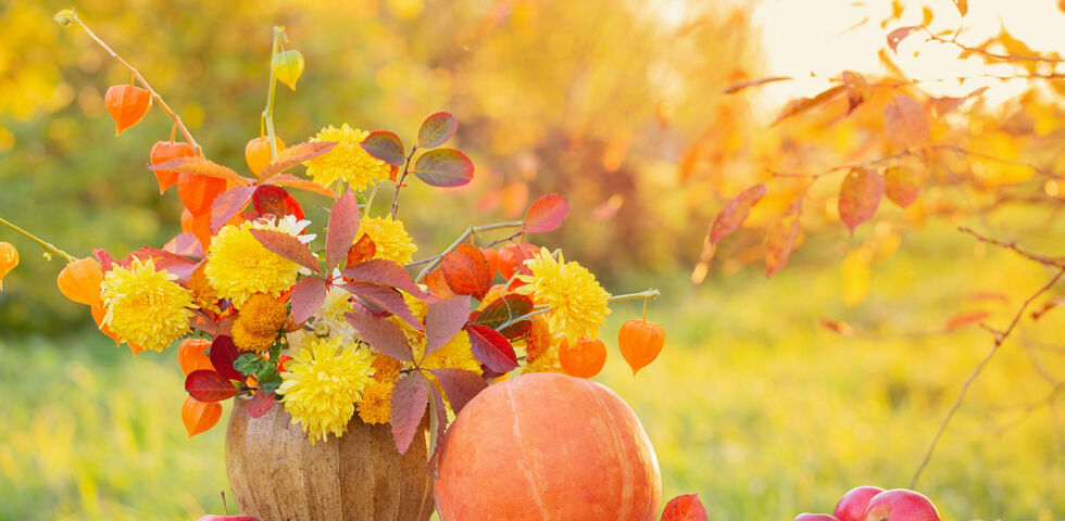 Herbst_Shutterstock - © Shutterstock